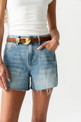 Jessi Suede Belt in Brown