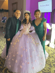 Stunning Tulle Appliques Ball Gown Princess Dress