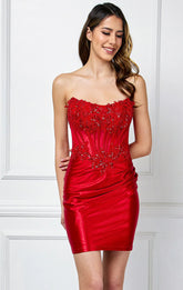 Stormy Mini Dress Red