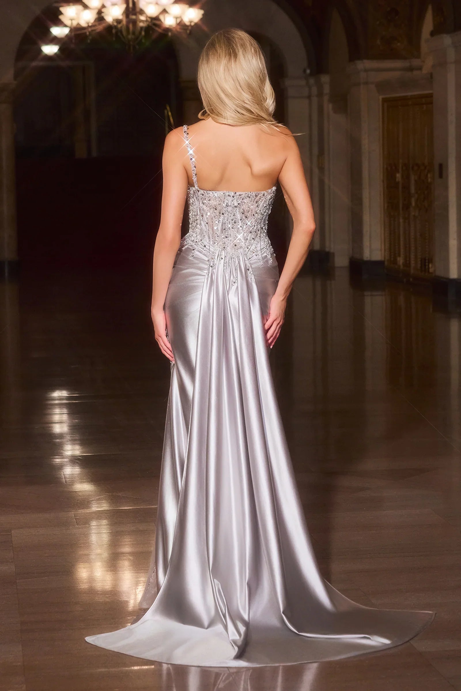 Kendra Gown Silver Dress With Train Skirt Inset Detail