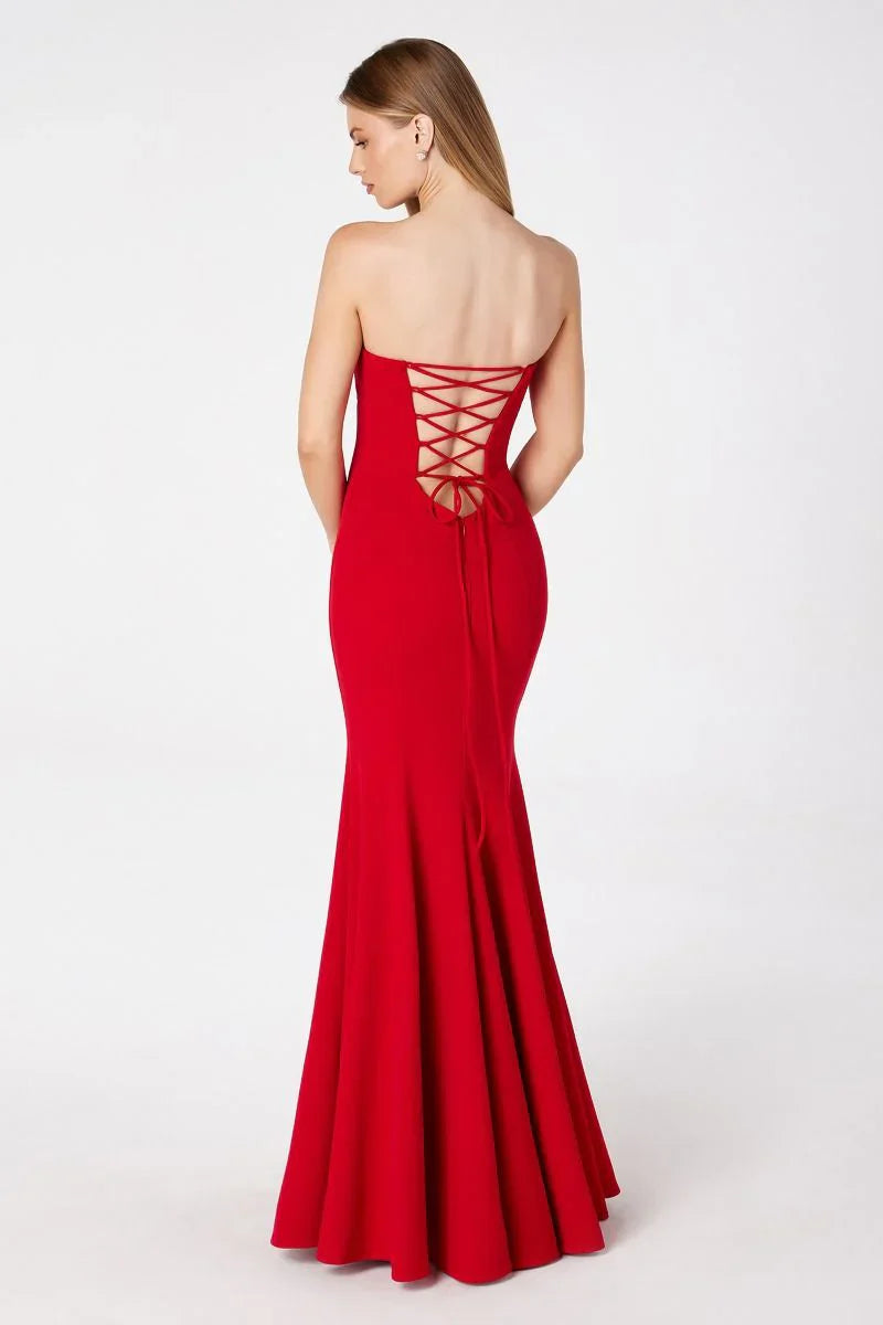 Poppy Maxi Dress Strapless Fitted Dress