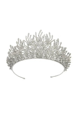 Silver Feather Shaped Zirconia Crown