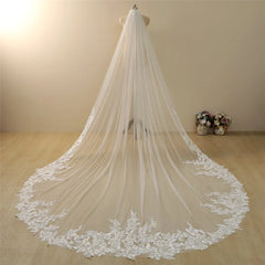 Vintage Lace Trim Transparent Wedding Veil Bridal Veil