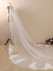 3D Flower Lace with Rhinestones Cathedral Veil Bridal Veil Wedding Veil