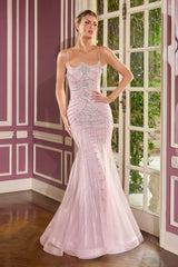 Rebekah Gown Evening Dress with Detachable Bow Train