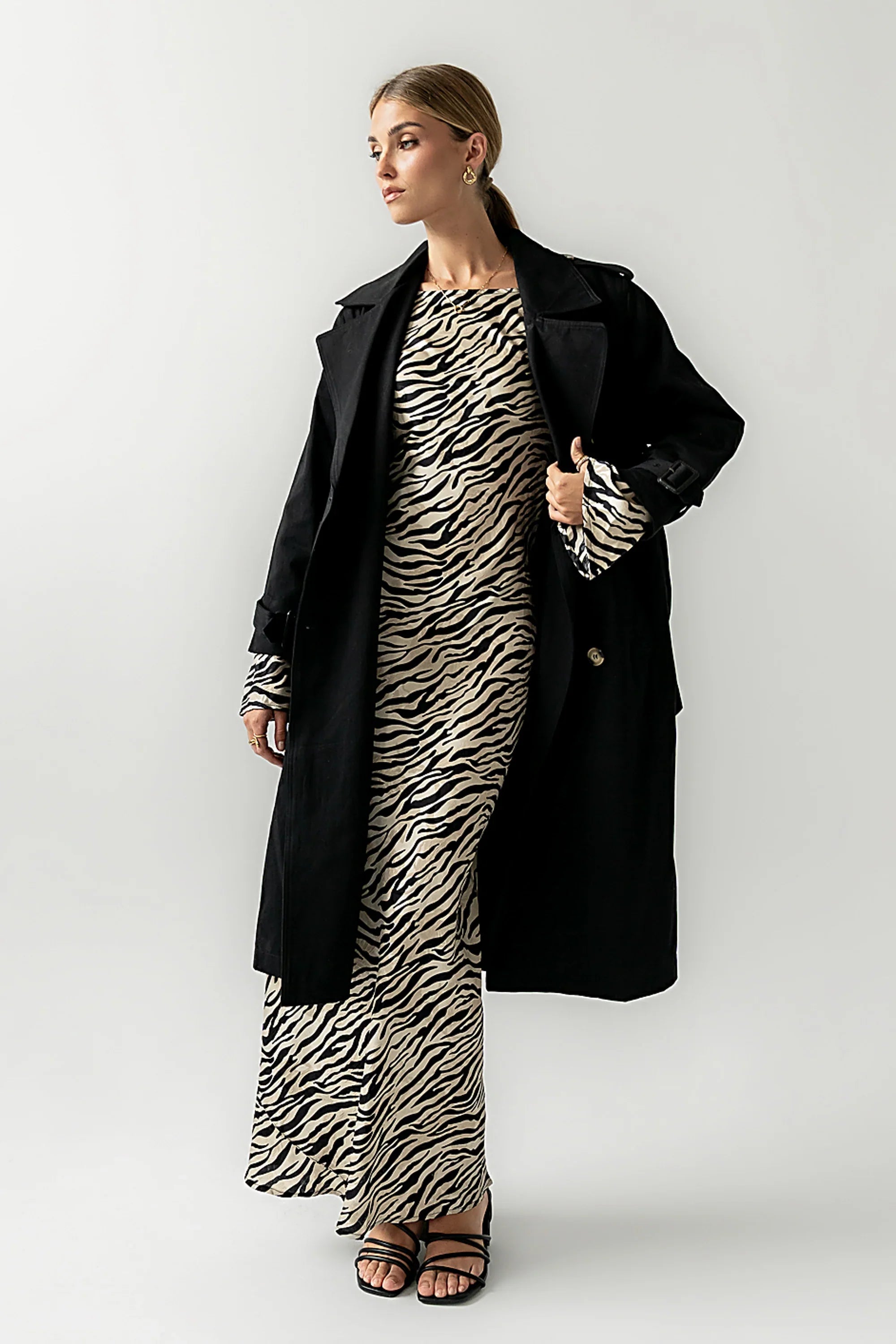 Melody Zebra Ultra Maxi Dress FINAL SALE