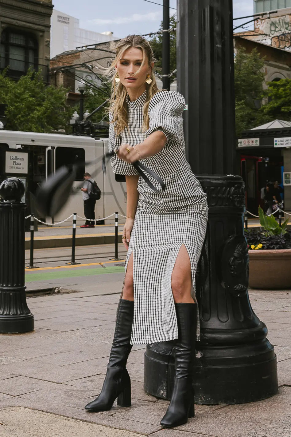 Alex Gingham Dress in Black FINAL SALE