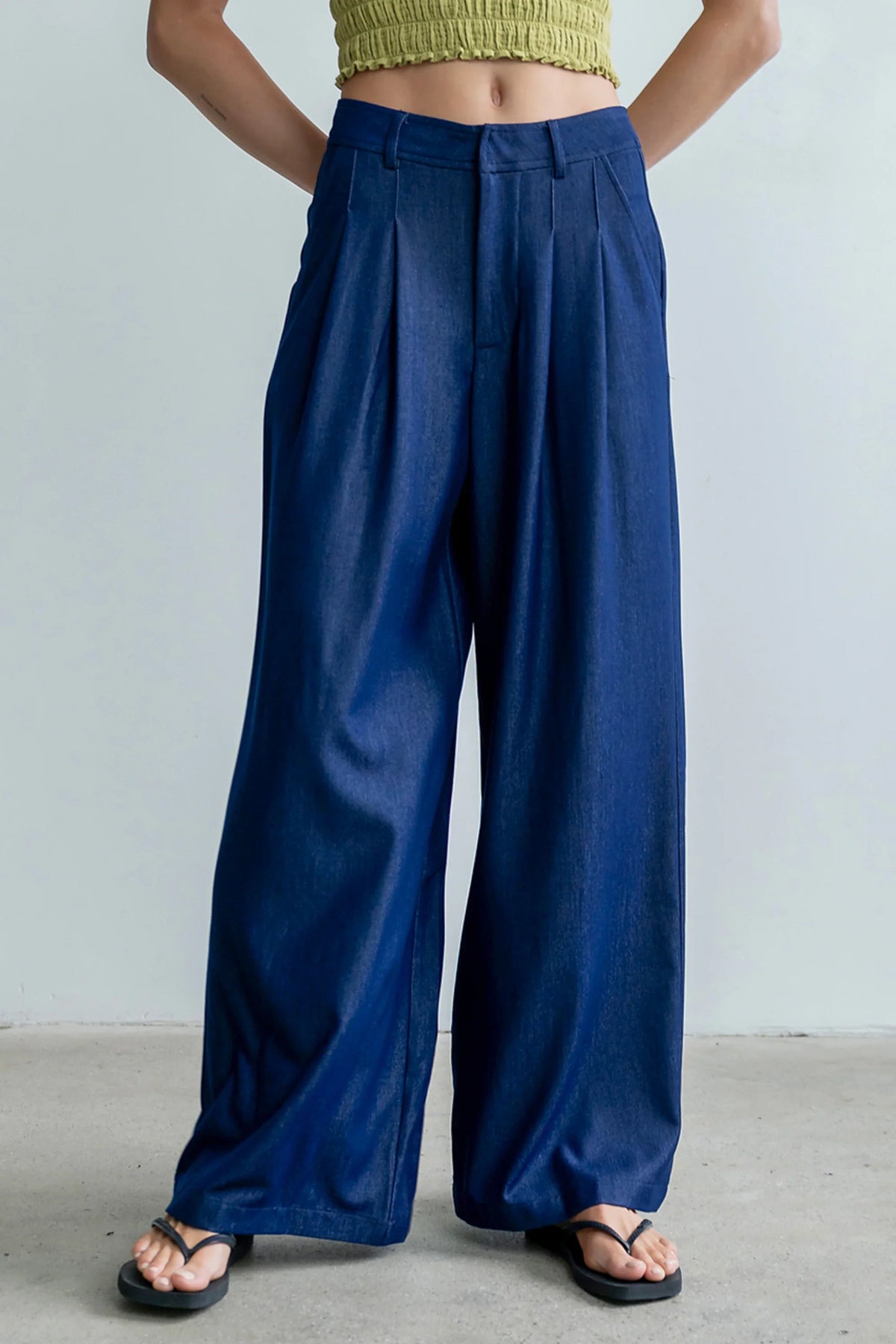 Joey Pleated Pants in Blue