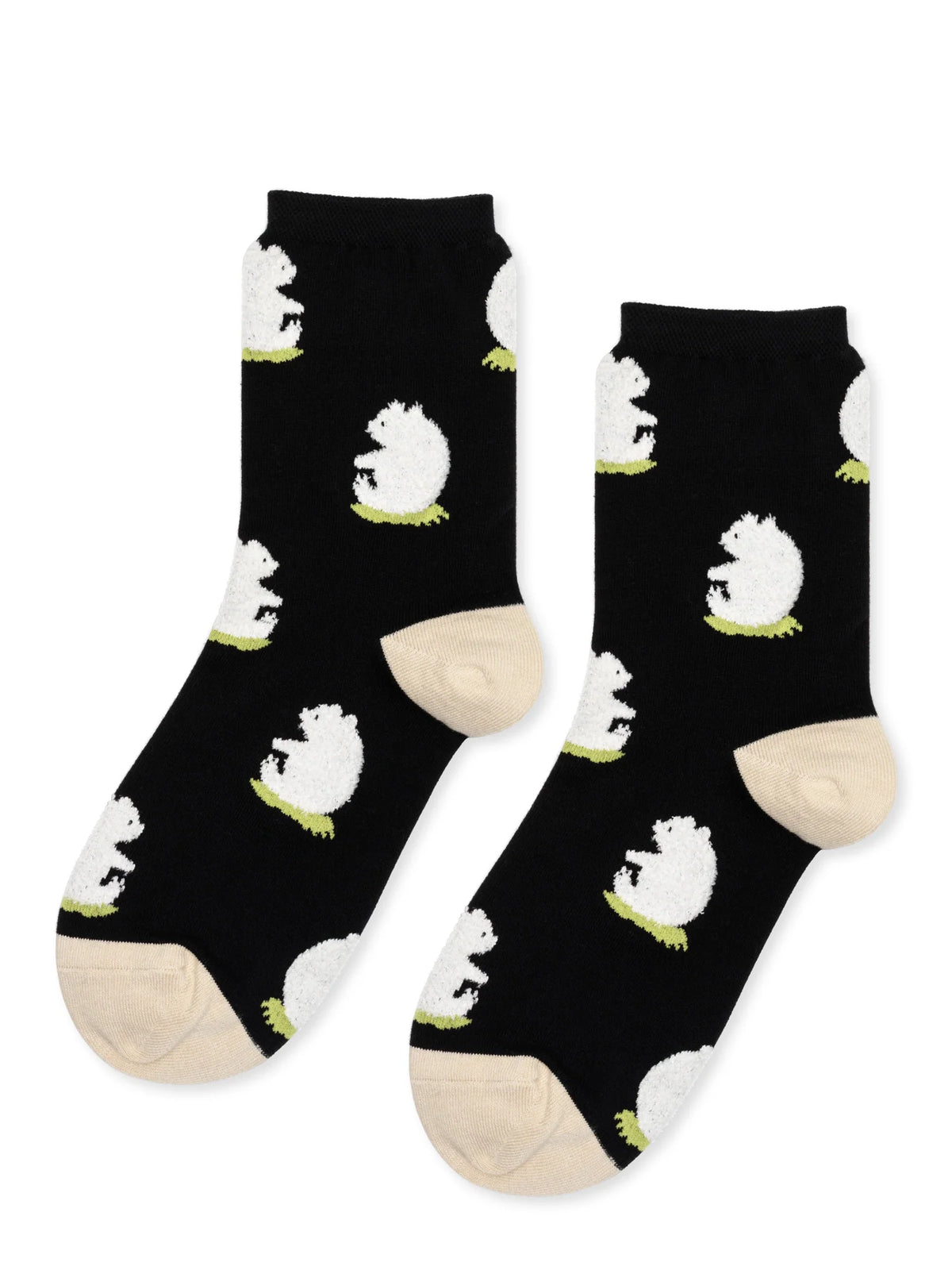 Touch Your Toes Crew