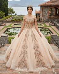 Classic Organza with Embroidery Cap Sleeve Sequined Quinceanera Dresses