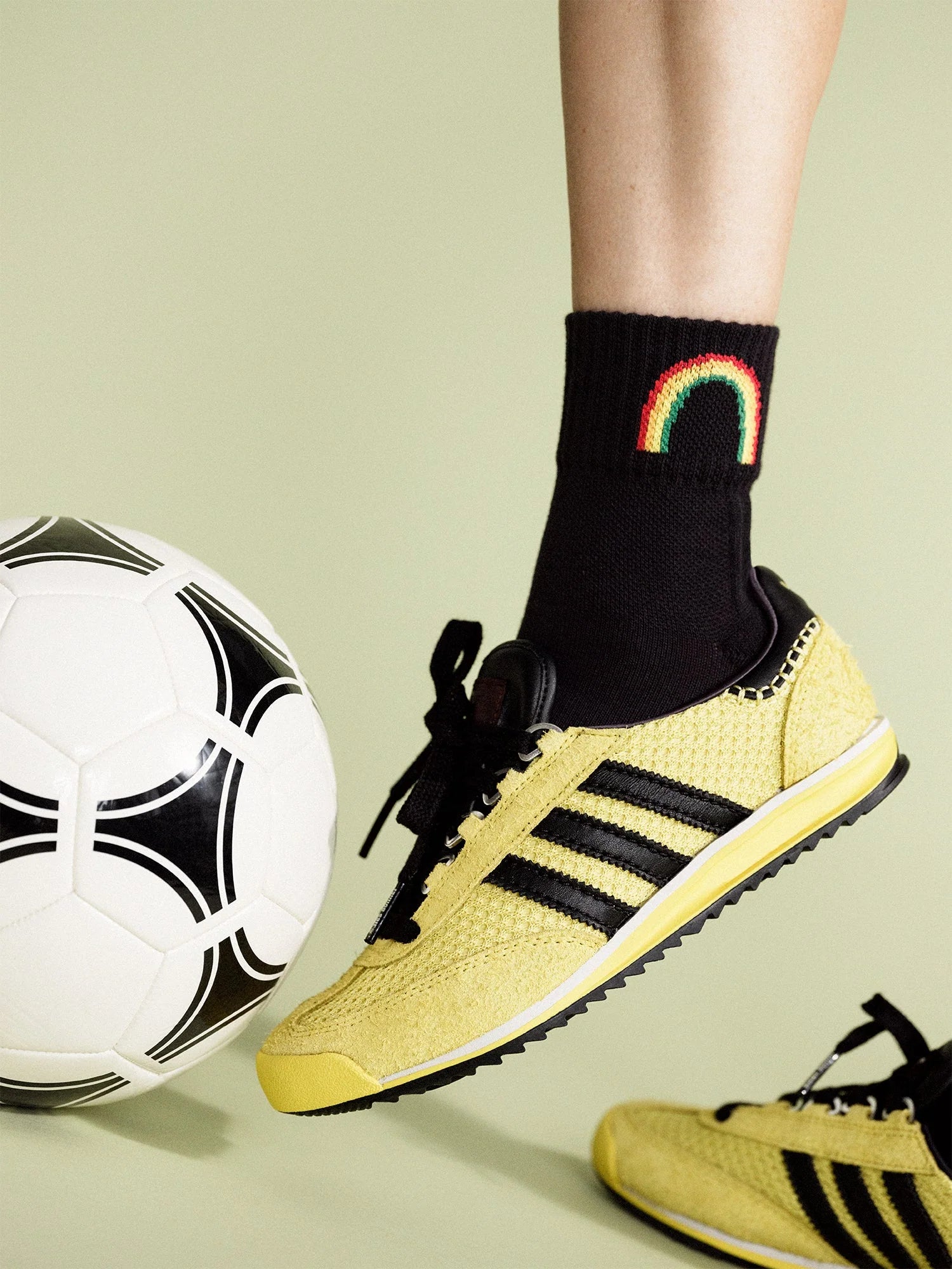 Rainbow Sporty Crew
